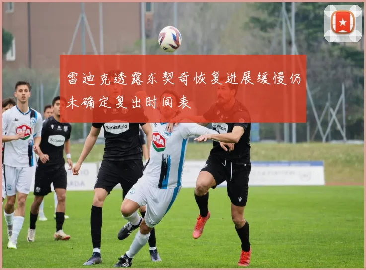 雷迪克透露东契奇恢复进展缓慢仍未确定复出时间表